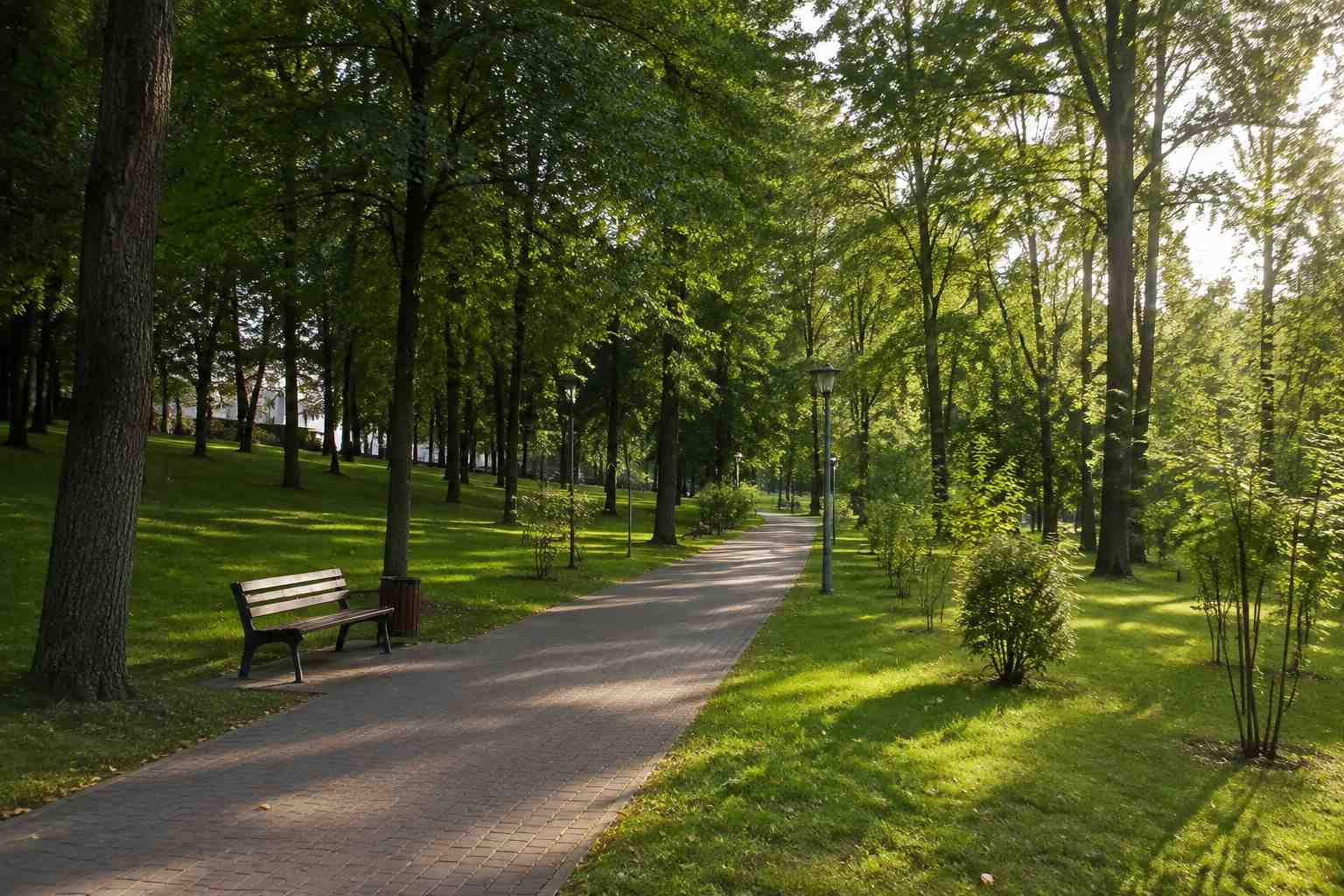 https://magnitogorsk.blago-s.ru/storage/app/uploads/public/6a7/eef/ed2/6a7eefed2af22038960370.jpg